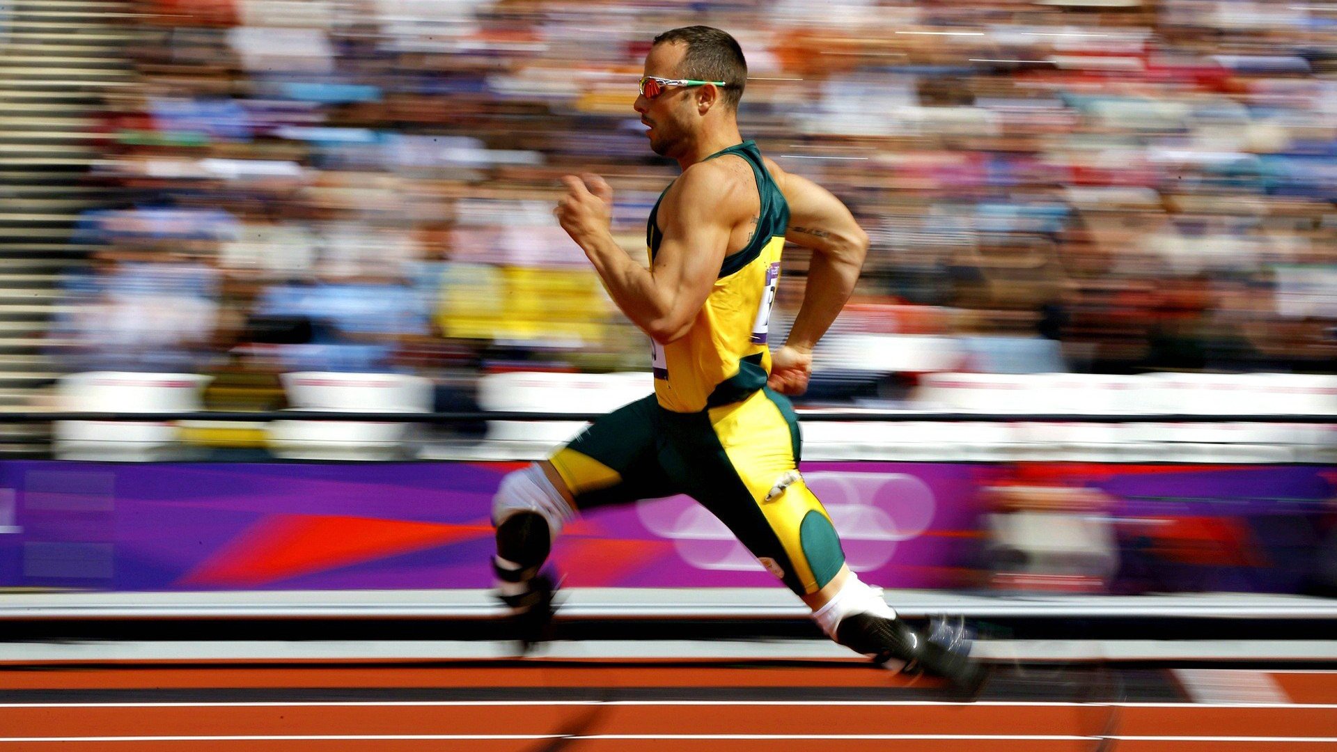 赛场“最感人的集体庆祝”，凝聚胜利的喜悦，集体庆祝动作